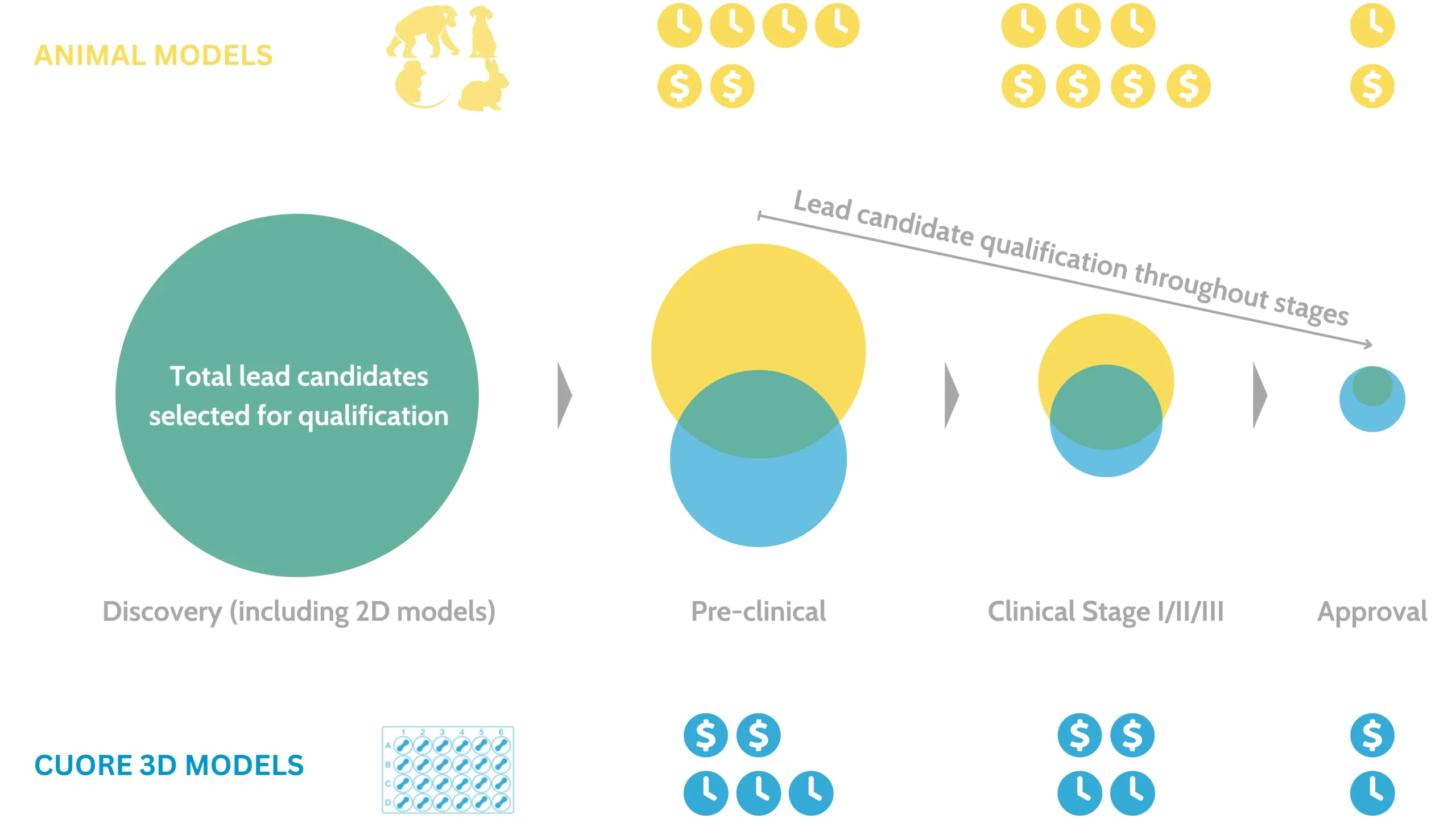 A diagram showing the stages of lead candidate qualification for neuromuscular disorder research. It compares animal models and CUORE 3D models from discovery to approval stages, highlighting costs and efficiency.